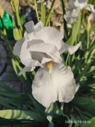 IMG_20250519_185009.jpg