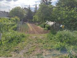 IMG-20250520-WA0013.jpg