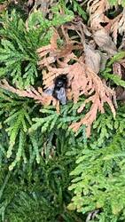 IMG_9136.jpeg