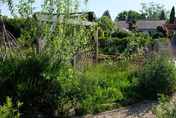 2025_0506_09523600.jpg