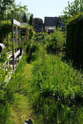 2025_0506_09515400.jpg