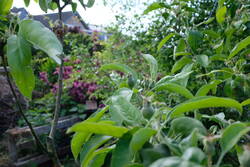 2025_0506_10141100.jpg
