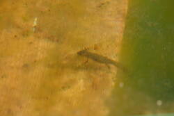 2025_0501_09185100.jpg