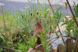 2025_0424_17345400.jpg