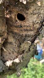 IMG_9168.jpeg
