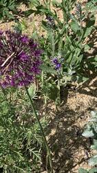 IMG_9166.jpeg