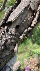 IMG_9167.jpeg