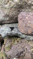 IMG_9176.jpeg