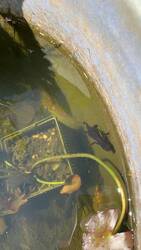 IMG_9182.jpeg