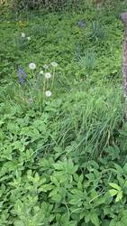 IMG_9148.jpeg