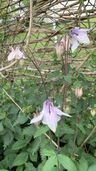 IMG_9227.jpeg