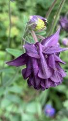 IMG_9247.jpeg