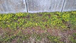 20250527_202530.jpg