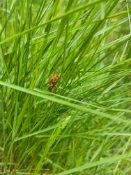 IMG_20250530_102052.jpg
