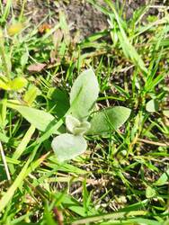 IMG_20250530_155455.jpg