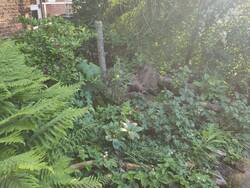 IMG_20250530_193251.jpg