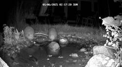 Garten_1748753144218_952700023N548QXD_exported_4193.jpg