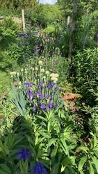 IMG_9278.jpeg