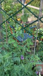 IMG_9279.jpeg