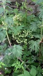 IMG_9299.jpeg
