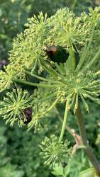 IMG_9312.jpeg