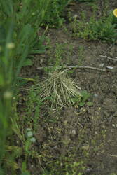 _MG_3498.JPG (330.08 KiB) 19964 mal betrachtet Total unauffällig.