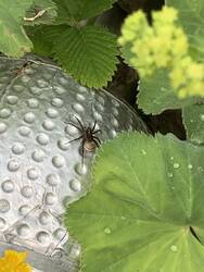 IMG_9359.jpeg