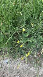 IMG_9369.jpeg