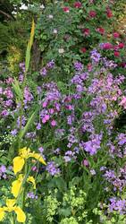 IMG_9402.jpeg