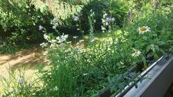20250614_104256.jpg