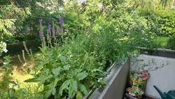 20250614_104307.jpg