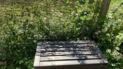 IMG_9481.jpeg