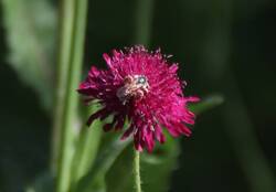 IMG_1883~2.JPG