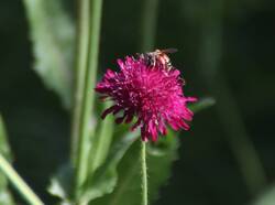 IMG_1891~2.JPG