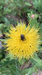 IMG_9532.jpeg