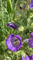 IMG_9477.jpeg