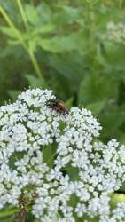 IMG_9512.jpeg