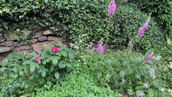 IMG_9543.jpeg