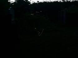 IMG_20250626_073810.jpg
