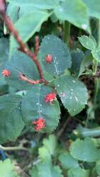 IMG_9552.jpeg