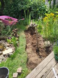 IMG_20250625_141959.jpg