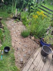 IMG_20250625_154009.jpg