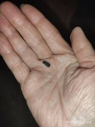 IMG_20250627_221308.jpg