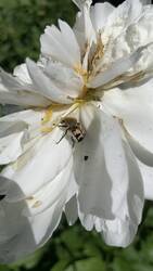 IMG_9568.jpeg