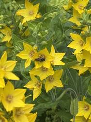 IMG_4818.jpeg