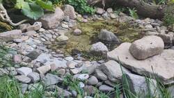 IMG_20250701_192813.jpg