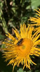 IMG_9615.jpeg