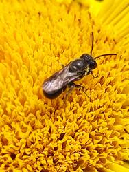 IMG_20250704_151125.jpg