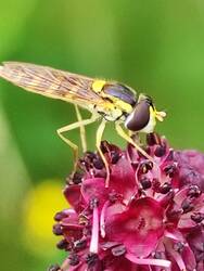 IMG_20250707_124750.jpg