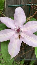 IMG_9635.jpeg